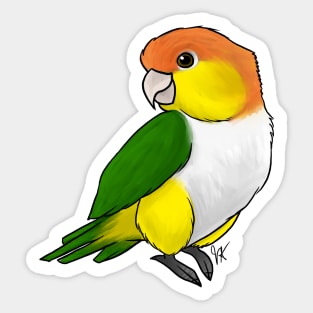 Bird - Caique - Black Legged Sticker